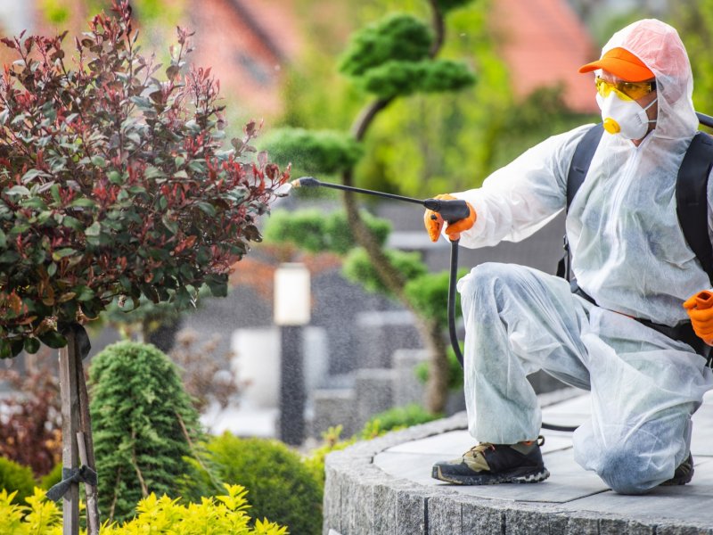 Gültepe Haşere İlaçlama